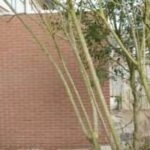 Uitbouwproject Almere Afbeelding 3