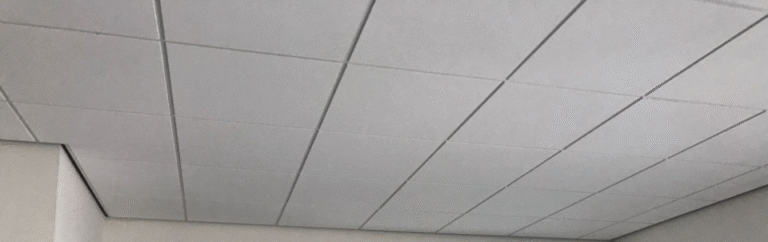 l_659b00284a.png