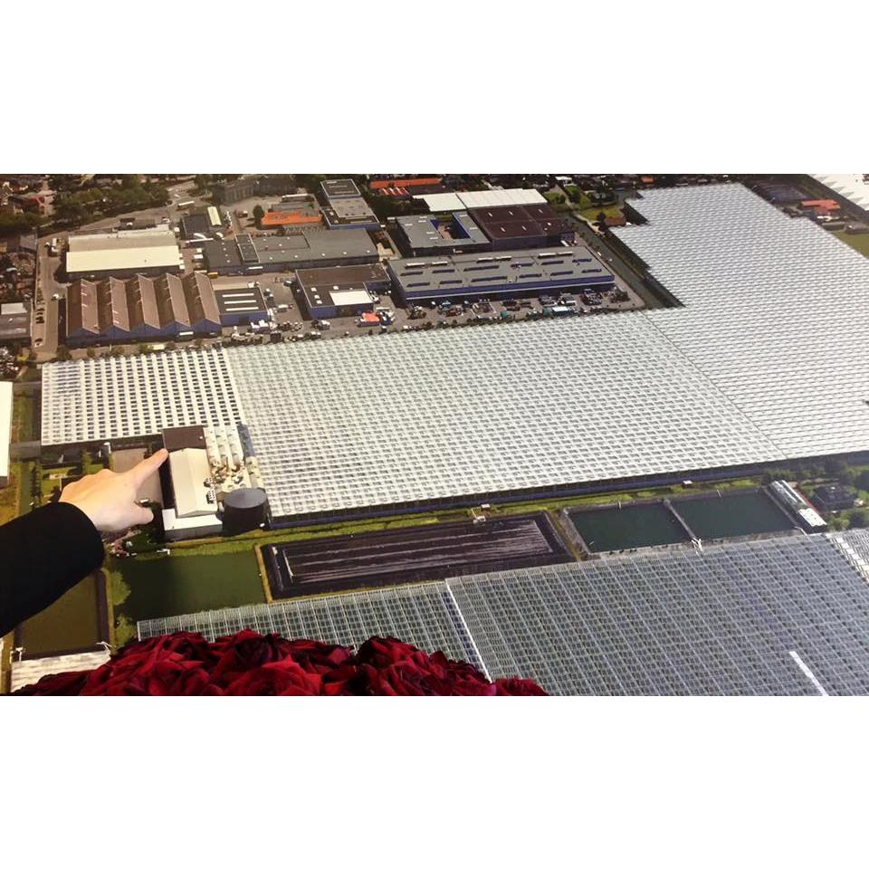 Aannemersbedrijf Van Kleef Logo