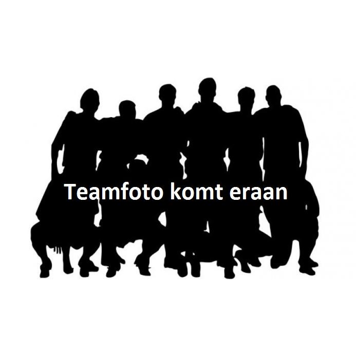 Aannemingsbedrijf M G Wolfswinkel BV Logo