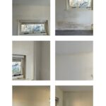 Schimmelschade Afbeelding 2