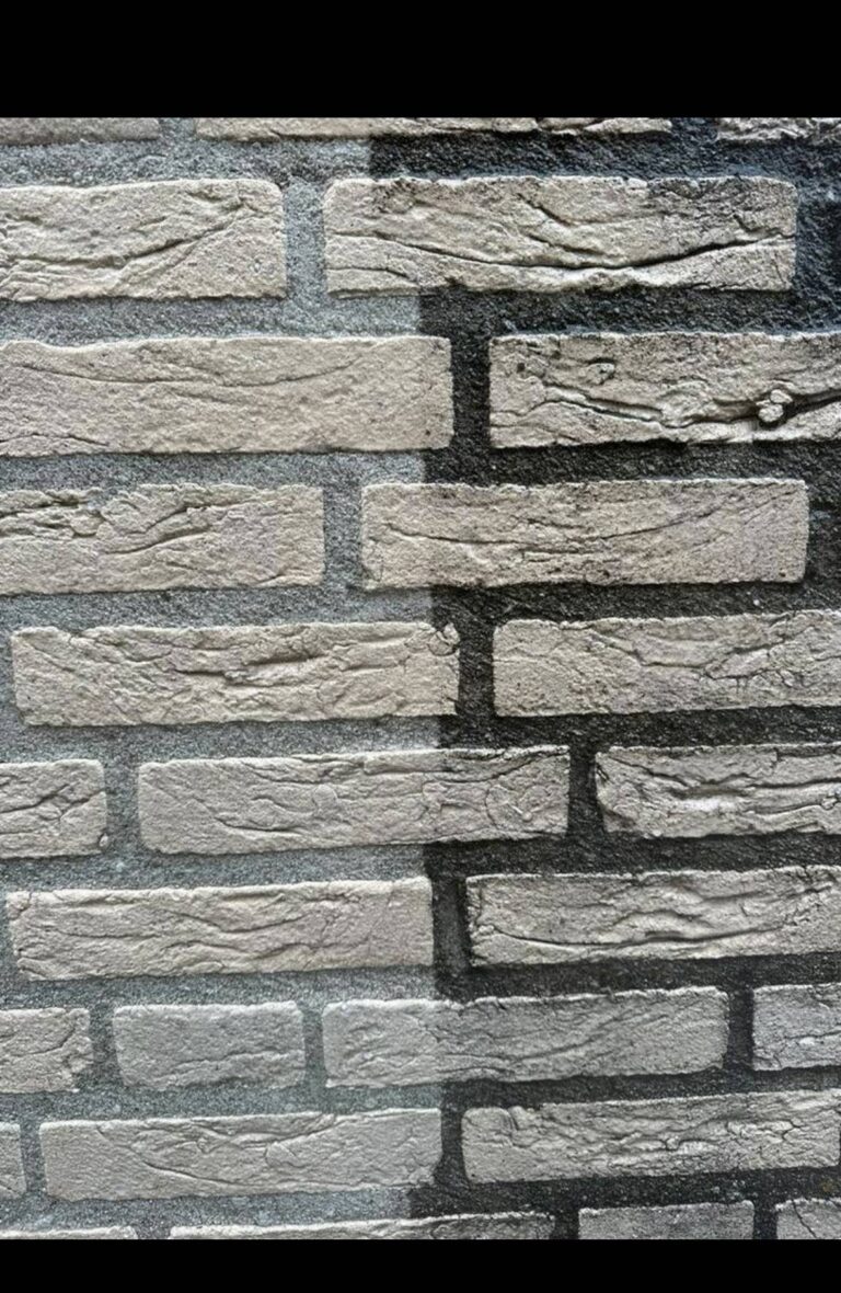 l_1c6c51be80.jpg