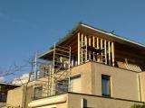 l_2539395242.jpg
