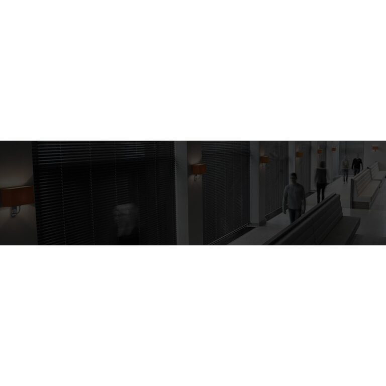 l_2c1ae9fcbb