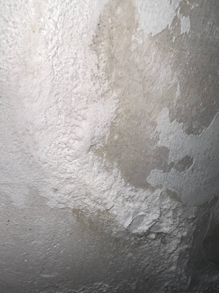 l_3f4fd8ab15.jpg
