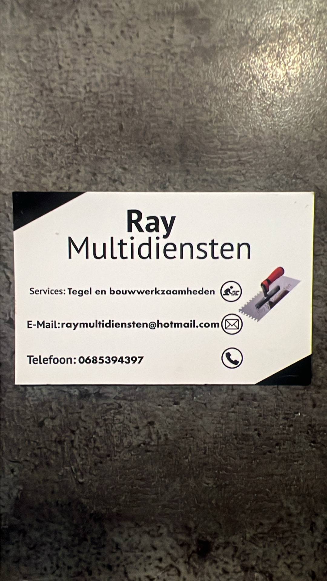 Raymultidiensten Logo