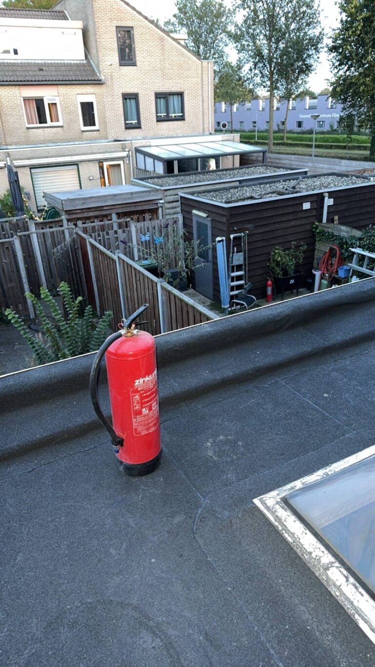 l_54d6d6f159.jpg