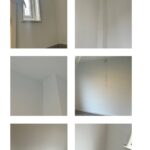 Schimmelschade Afbeelding 1