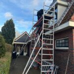 Weheat Black Bird Afbeelding 2