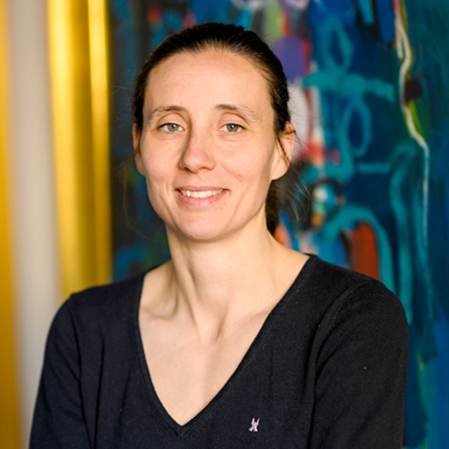 Aannemers Alexandria Garantie Aannemers BV Logo