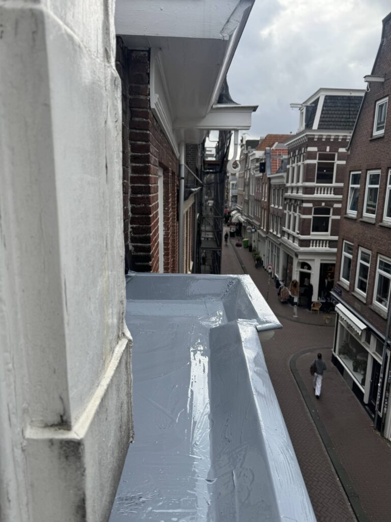 l_aa85e6153c.jpg
