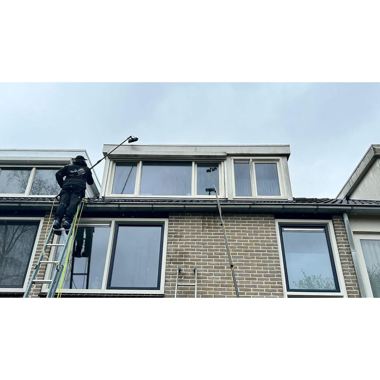 Ws de frisse jonge Logo