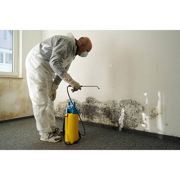 haijema kunststofvloeren betonrenovatie Logo