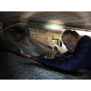 Vochtwering Specialist