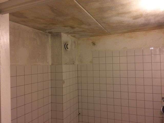 l_ba72323070.jpg