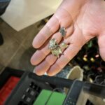 zeer natte, vochtige kelder, wanddikte 38cm Afbeelding 2