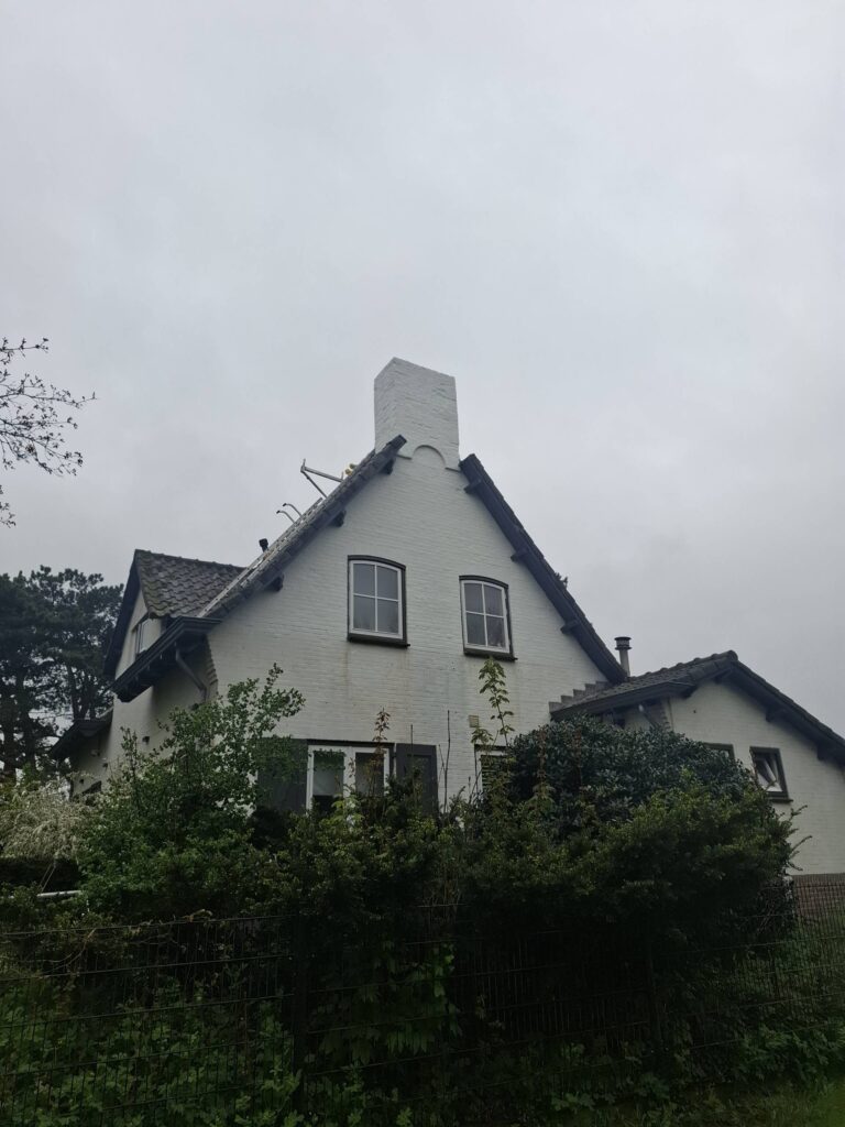 l_c8103054d1.jpg