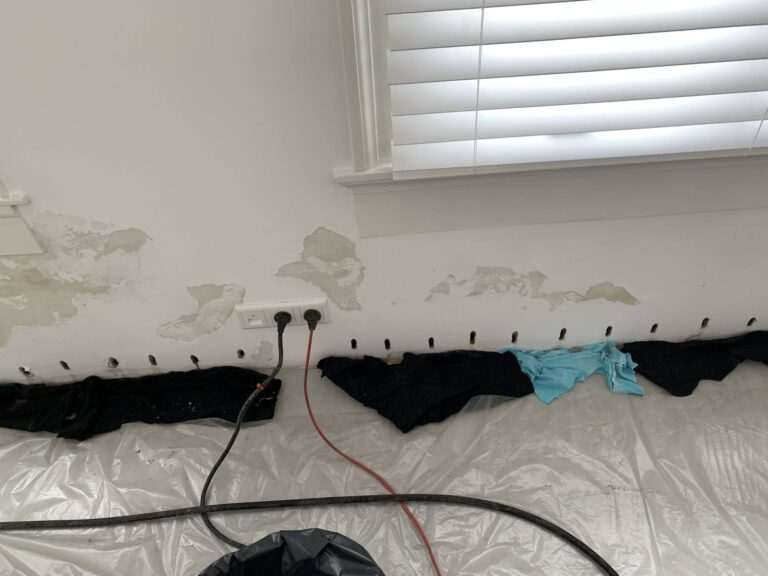 l_cd07ddc2cb.jpg