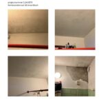 Schimmelschade + reparatie Afbeelding 1