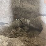 Stank onderzoek/ rookonderzoek Afbeelding 1