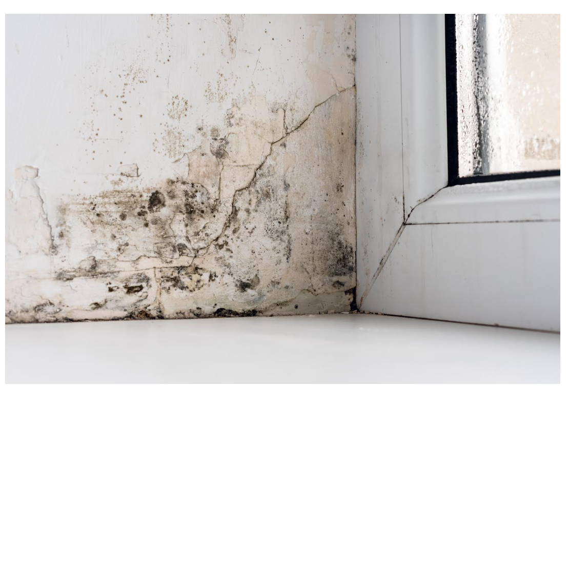 Vochtwering Nederland B.V. Logo