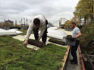 Portfolio afbeelding