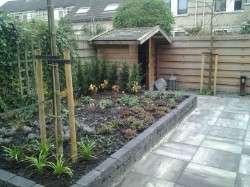 Portfolio afbeelding