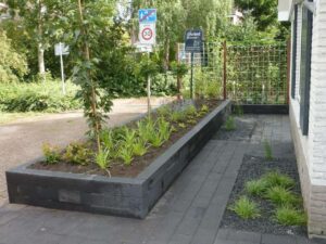 Portfolio afbeelding