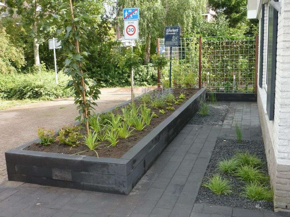 Portfolio afbeelding