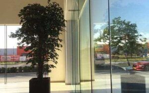 Portfolio afbeelding