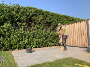 Portfolio afbeelding