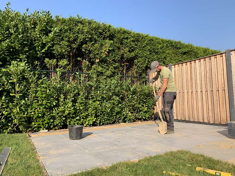 Portfolio afbeelding