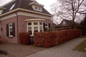 Portfolio afbeelding