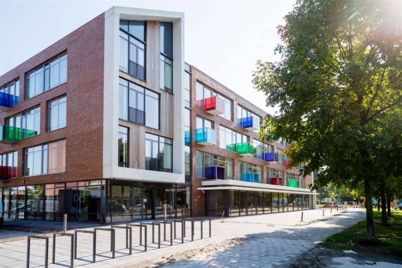 Portfolio afbeelding