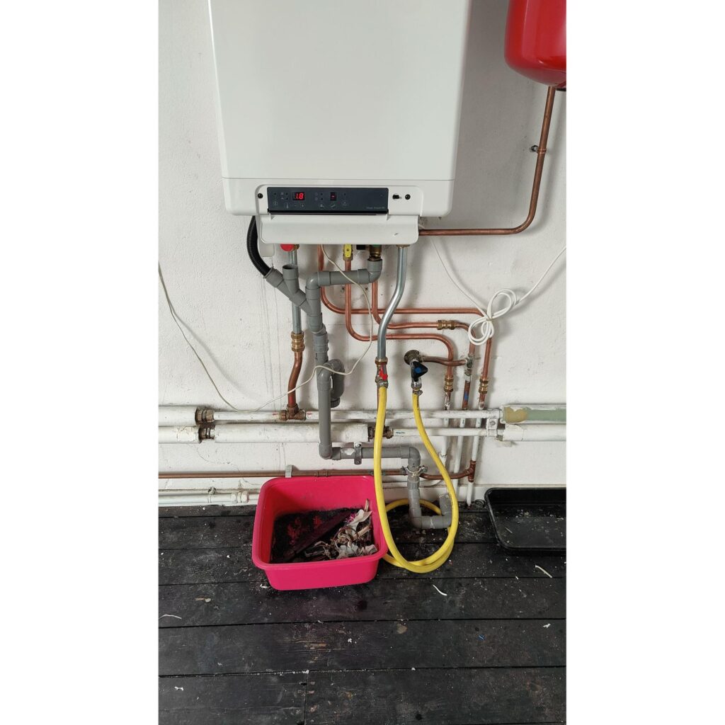 Portfolio afbeelding