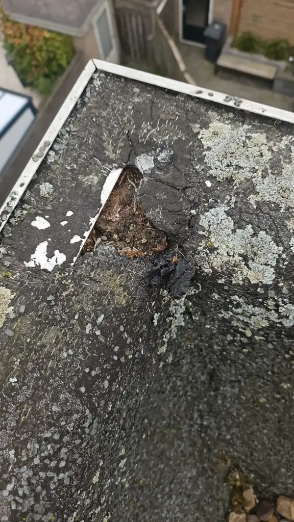 Portfolio afbeelding