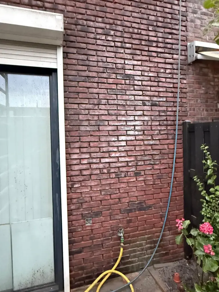 Portfolio afbeelding