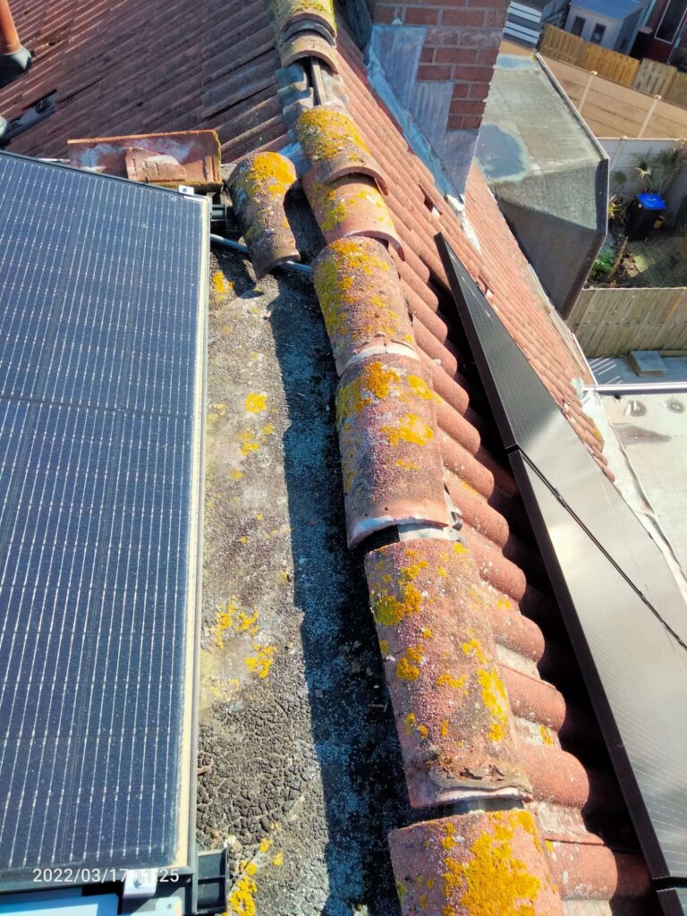 Portfolio afbeelding