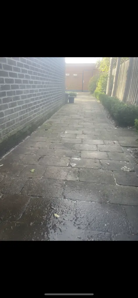 Portfolio afbeelding