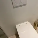 Kitten van badkamer Afbeelding 1