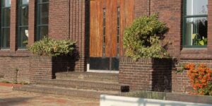 Portfolio afbeelding