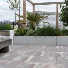 Portfolio afbeelding