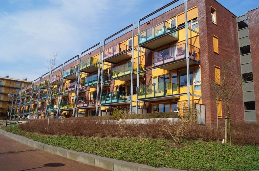 Portfolio afbeelding