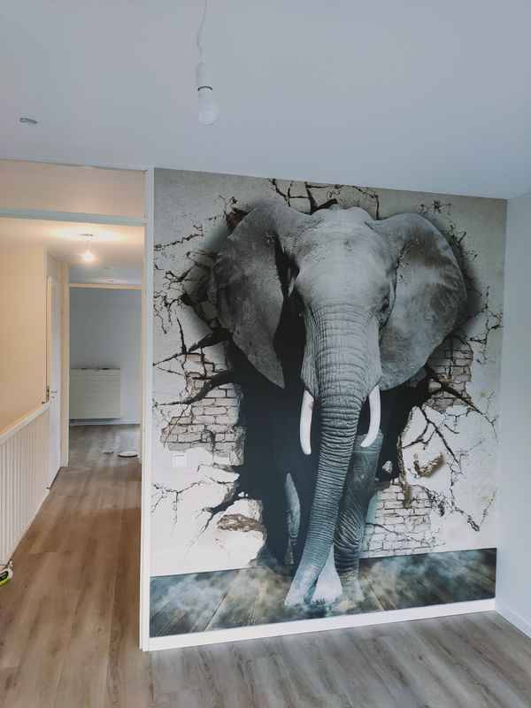 Portfolio afbeelding