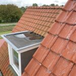 Dak reinigen doormiddel van softwash techniek Afbeelding 1