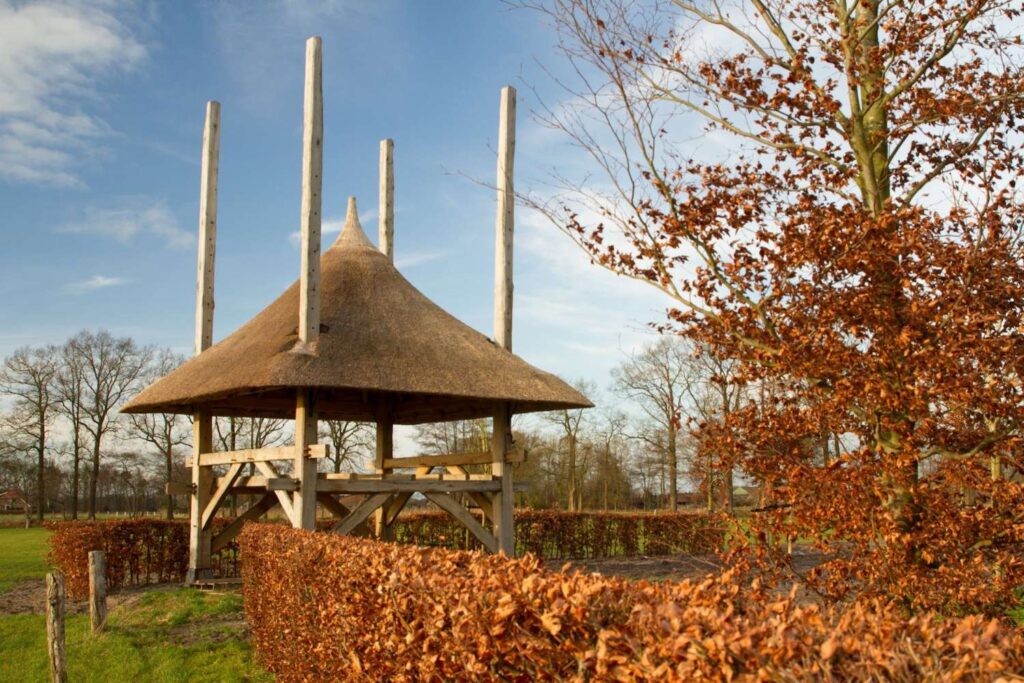 Portfolio afbeelding