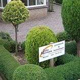 Portfolio afbeelding