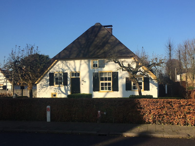 Portfolio afbeelding