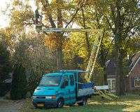 Portfolio afbeelding