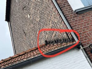 Portfolio afbeelding